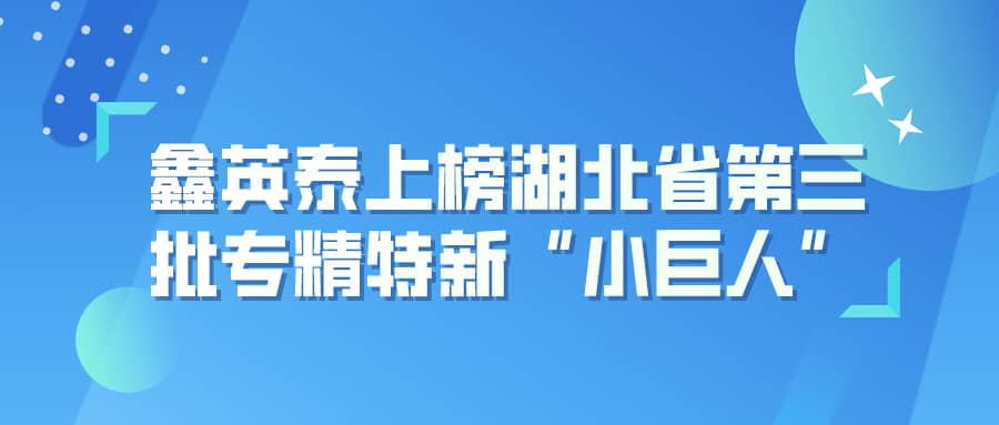 英国上市公司365上榜湖北省第三批专精特新“小巨人”企业名单