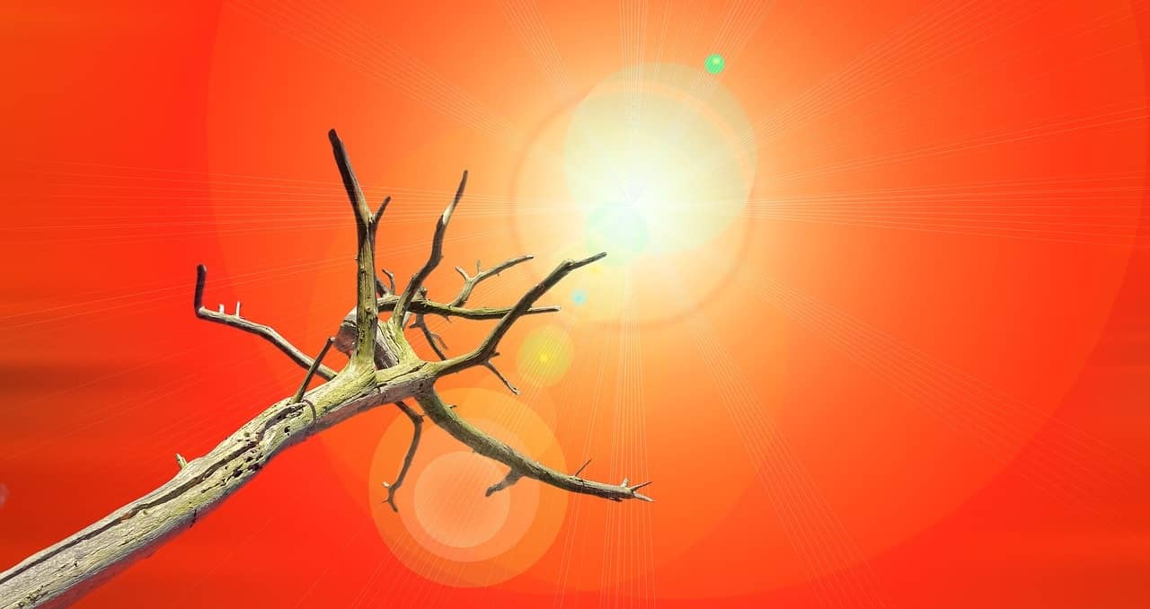 用心服务  才更出彩