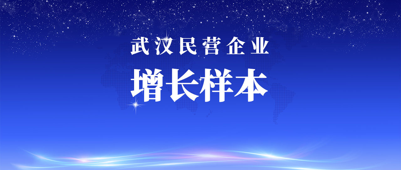 英国上市公司365入选武汉市民营企业增长样本企业